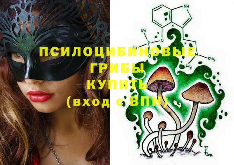 Псилоцибиновые грибы Magic Shrooms  МЕГА tor  Выкса 